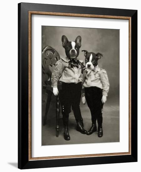 Boston Terriers-J Hovenstine Studios-Framed Giclee Print