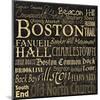 Boston-Carole Stevens-Mounted Art Print