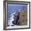 Botallack Tin Mines, Cornwall, England-Roy Rainford-Framed Photographic Print