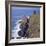 Botallack Tin Mines, Cornwall, England-Roy Rainford-Framed Photographic Print