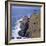 Botallack Tin Mines, Cornwall, England-Roy Rainford-Framed Photographic Print