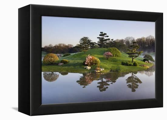 Botanic Dawn I-Larry Malvin-Framed Premier Image Canvas