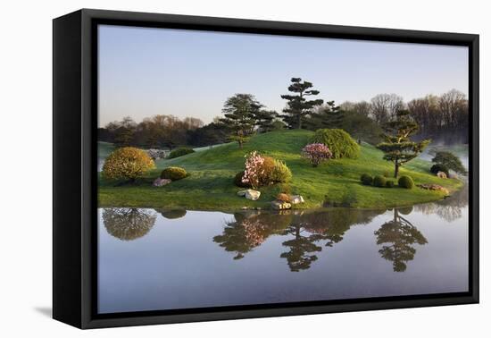 Botanic Dawn I-Larry Malvin-Framed Premier Image Canvas