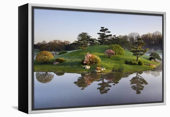 Botanic Dawn I-Larry Malvin-Framed Premier Image Canvas