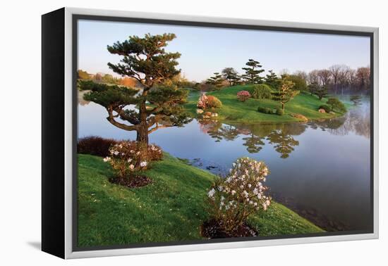 Botanic Dawn II-Larry Malvin-Framed Premier Image Canvas