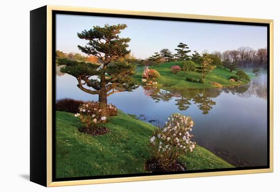 Botanic Dawn II-Larry Malvin-Framed Premier Image Canvas