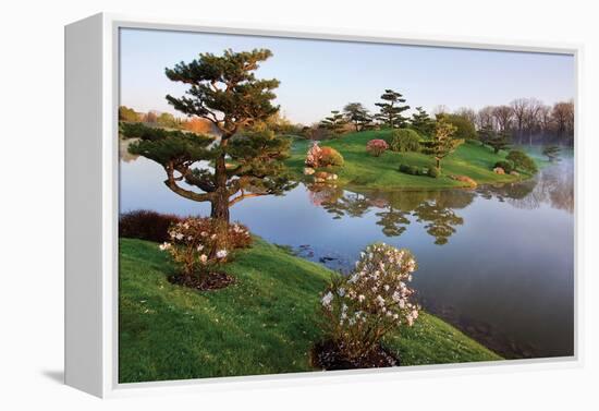 Botanic Dawn II-Larry Malvin-Framed Premier Image Canvas