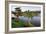 Botanic Dawn II-Larry Malvin-Framed Photographic Print