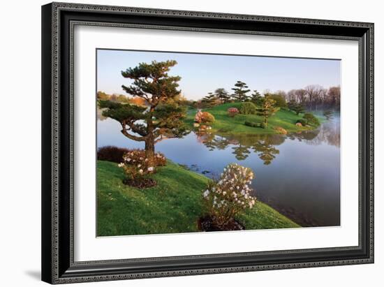 Botanic Dawn II-Larry Malvin-Framed Photographic Print