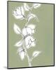 Botanic Drawing II-Regina Moore-Mounted Art Print