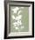 Botanic Drawing II-Regina Moore-Framed Art Print