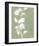 Botanic Drawing II-Regina Moore-Framed Art Print