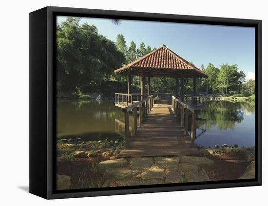 Botanic Garden, Havana, Cuba-null-Framed Premier Image Canvas