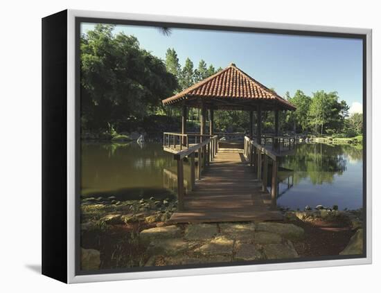 Botanic Garden, Havana, Cuba-null-Framed Premier Image Canvas