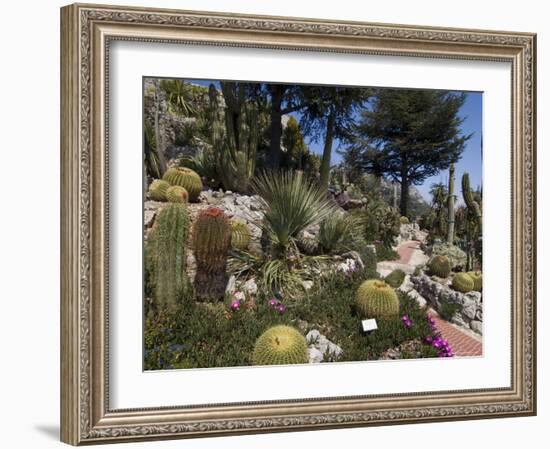 Botanic Garden (Jardin Exotique), Eze Village, Alpes Maritimes, Provence, Cote d'Azur, France-Sergio Pitamitz-Framed Photographic Print