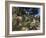 Botanic Garden (Jardin Exotique), Eze Village, Alpes Maritimes, Provence, Cote d'Azur, France-Sergio Pitamitz-Framed Photographic Print