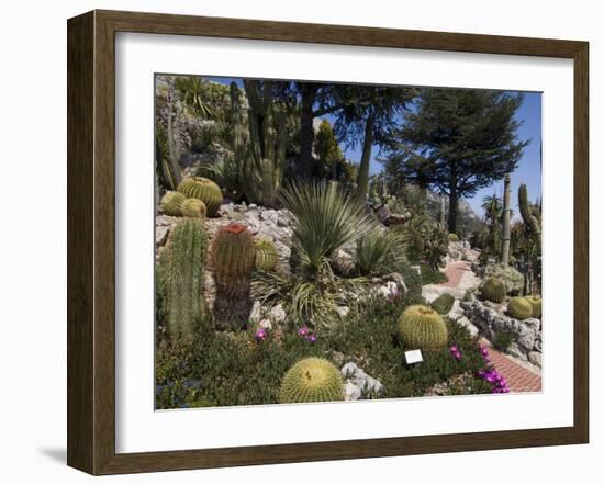 Botanic Garden (Jardin Exotique), Eze Village, Alpes Maritimes, Provence, Cote d'Azur, France-Sergio Pitamitz-Framed Photographic Print