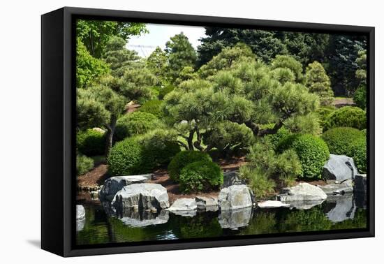 Botanic Garden-duallogic-Framed Premier Image Canvas