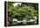 Botanic Garden-duallogic-Framed Premier Image Canvas