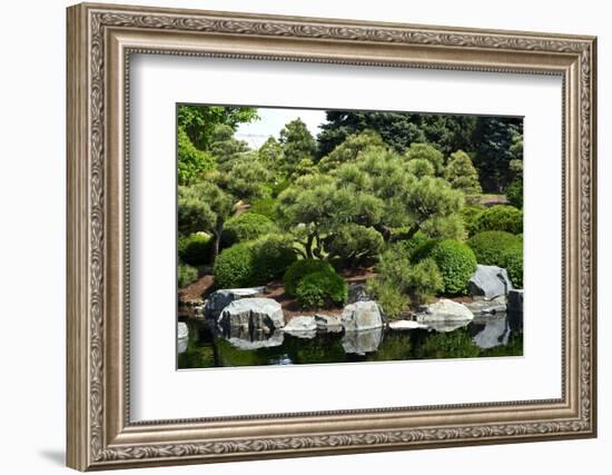 Botanic Garden-duallogic-Framed Photographic Print