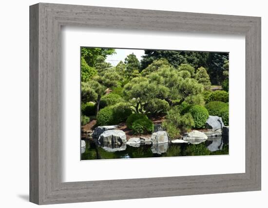 Botanic Garden-duallogic-Framed Photographic Print