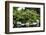 Botanic Garden-duallogic-Framed Photographic Print