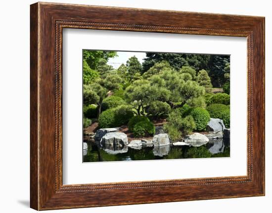 Botanic Garden-duallogic-Framed Photographic Print