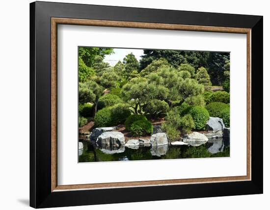 Botanic Garden-duallogic-Framed Photographic Print