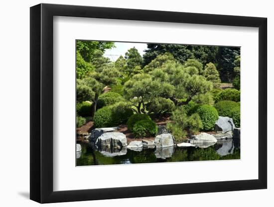 Botanic Garden-duallogic-Framed Photographic Print