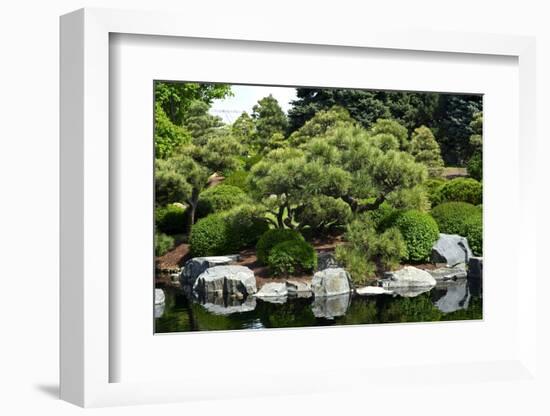 Botanic Garden-duallogic-Framed Photographic Print