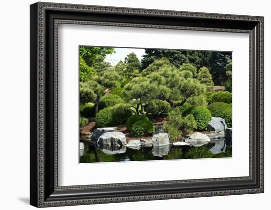 Botanic Garden-duallogic-Framed Photographic Print