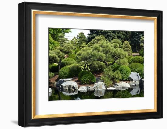 Botanic Garden-duallogic-Framed Photographic Print
