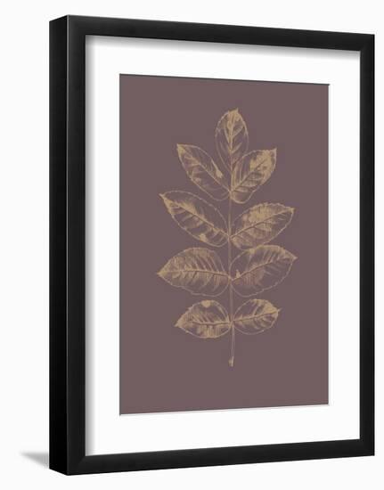 Botanica 2-Design Fabrikken-Framed Art Print