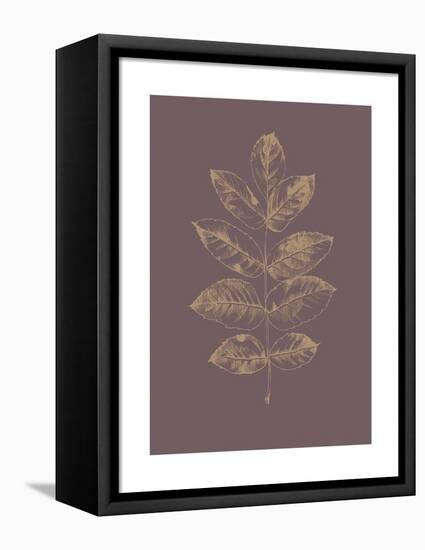Botanica 2-Design Fabrikken-Framed Stretched Canvas