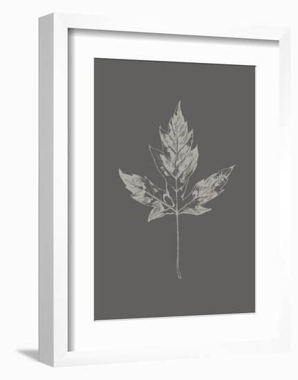 Botanica 5-Design Fabrikken-Framed Art Print