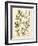 Botanica Agrimonia-The Vintage Collection-Framed Art Print