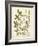 Botanica Agrimonia-The Vintage Collection-Framed Art Print