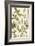 Botanica Agrimonia-The Vintage Collection-Framed Giclee Print