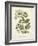 Botanica Angelica-The Vintage Collection-Framed Giclee Print