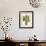 Botanica Fern-Emma Hill-Framed Giclee Print displayed on a wall