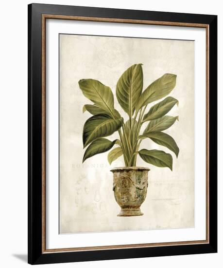 Botanica Fern-Emma Hill-Framed Giclee Print