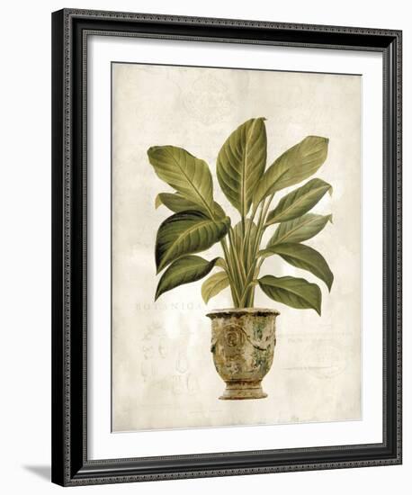 Botanica Fern-Emma Hill-Framed Giclee Print