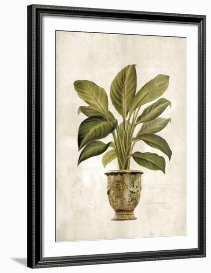 Botanica Fern-Emma Hill-Framed Art Print