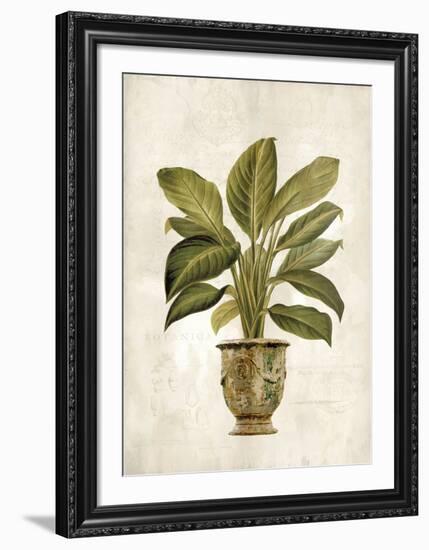 Botanica Fern-Emma Hill-Framed Art Print