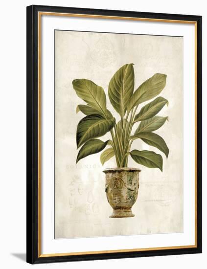 Botanica Fern-Emma Hill-Framed Art Print