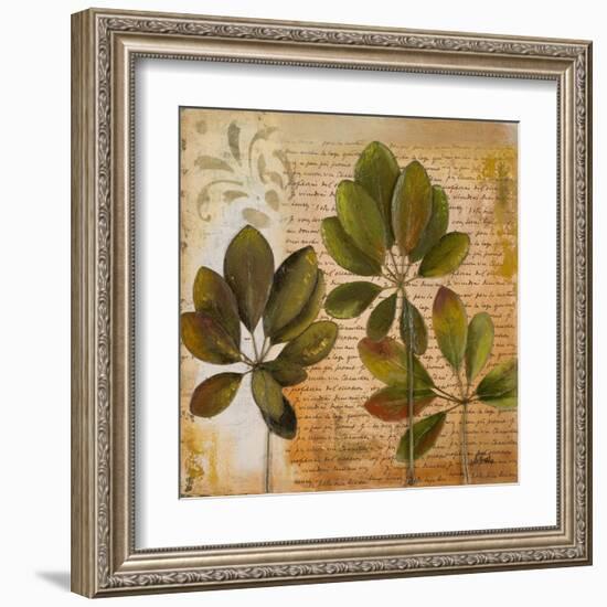 Botanica I-Patricia Pinto-Framed Art Print