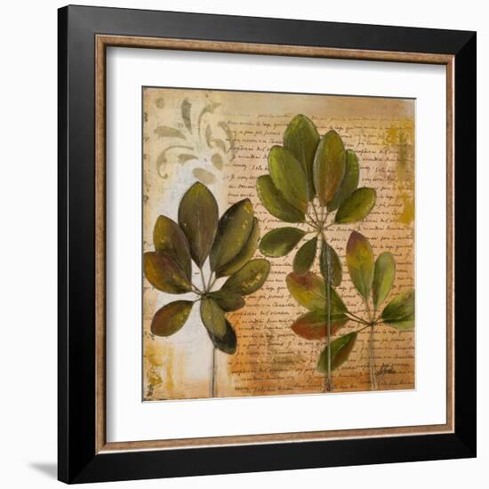 Botanica I-Patricia Pinto-Framed Art Print