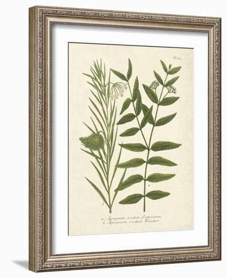 Botanica Indicum-The Vintage Collection-Framed Art Print