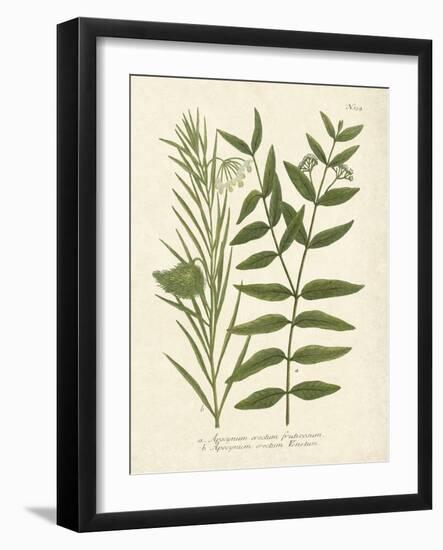 Botanica Indicum-The Vintage Collection-Framed Art Print