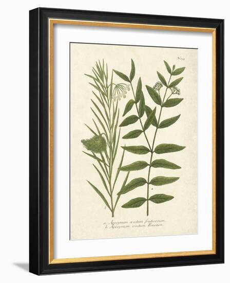 Botanica Indicum-The Vintage Collection-Framed Art Print